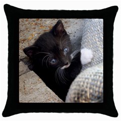 Pretty Blue-eyed Kitty Throw Pillow Cases (black) by trendistuff