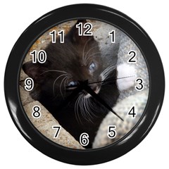 Pretty Blue-eyed Kitty Wall Clocks (black) by trendistuff