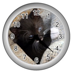 Pretty Blue-eyed Kitty Wall Clocks (silver)  by trendistuff