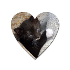 Pretty Blue-eyed Kitty Heart Magnet by trendistuff