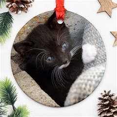 Pretty Blue-eyed Kitty Round Ornament (two Sides)  by trendistuff