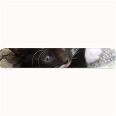 Pretty Blue-eyed Kitty Small Bar Mats