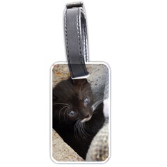 Pretty Blue-eyed Kitty Luggage Tags (one Side)  by trendistuff