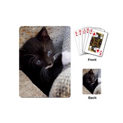 Pretty Blue-eyed Kitty Playing Cards (mini)  by trendistuff