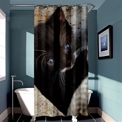 Pretty Blue-eyed Kitty Shower Curtain 36  X 72  (stall) 