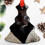 PRETTY BLUE-EYED KITTY Christmas Tree Ornament (2 Sides) Front