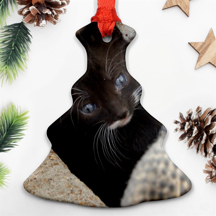 PRETTY BLUE-EYED KITTY Christmas Tree Ornament (2 Sides)