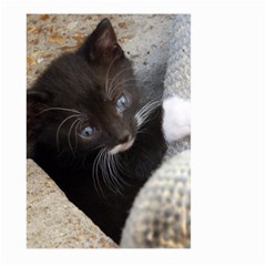 Pretty Blue-eyed Kitty Large Garden Flag (two Sides) by trendistuff