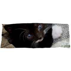 Pretty Blue-eyed Kitty Samsung Galaxy Tab 7  P1000 Hardshell Case  by trendistuff