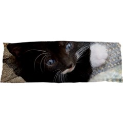 Pretty Blue-eyed Kitty Samsung S3350 Hardshell Case by trendistuff