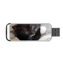 Pretty Blue-eyed Kitty Portable Usb Flash (one Side)