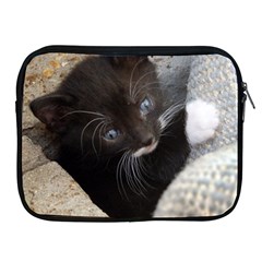 Pretty Blue-eyed Kitty Apple Ipad 2/3/4 Zipper Cases by trendistuff