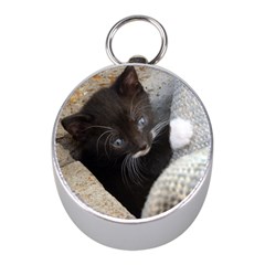 Pretty Blue-eyed Kitty Mini Silver Compasses