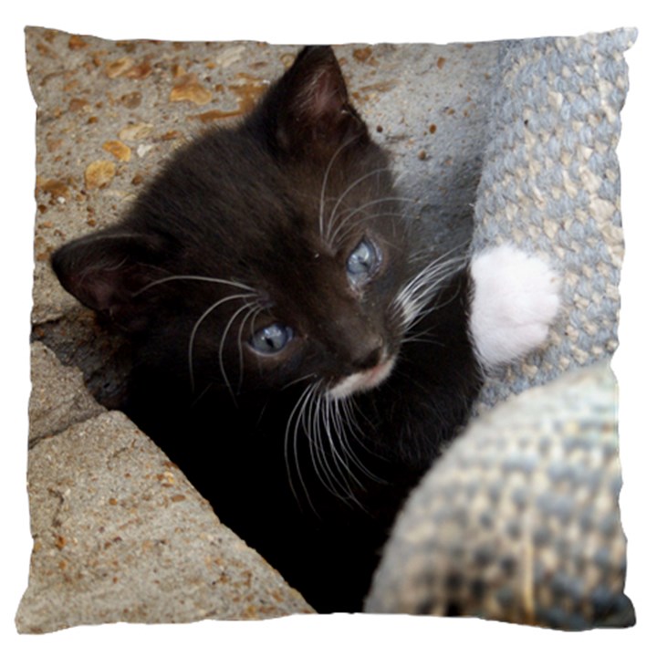 PRETTY BLUE-EYED KITTY Standard Flano Cushion Cases (One Side) 