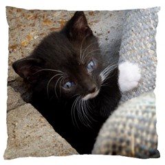 Pretty Blue-eyed Kitty Large Flano Cushion Cases (two Sides) 