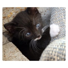 Pretty Blue-eyed Kitty Double Sided Flano Blanket (small) 