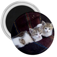 Kitty Twins 3  Magnets by trendistuff