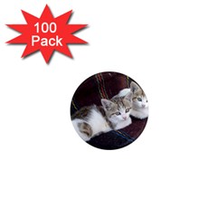 Kitty Twins 1  Mini Magnets (100 Pack)  by trendistuff