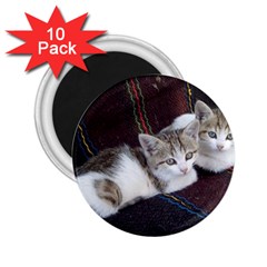 Kitty Twins 2 25  Magnets (10 Pack)  by trendistuff