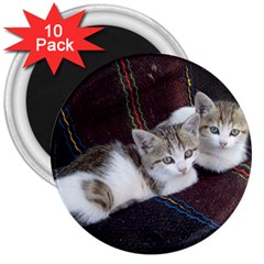 Kitty Twins 3  Magnets (10 Pack)  by trendistuff