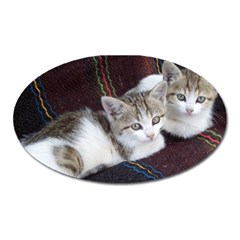 Kitty Twins Oval Magnet by trendistuff