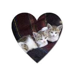 Kitty Twins Heart Magnet by trendistuff