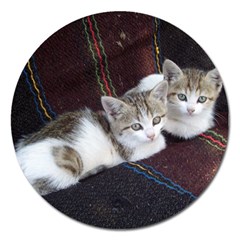 Kitty Twins Magnet 5  (round) by trendistuff