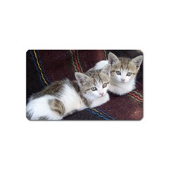 Kitty Twins Magnet (name Card) by trendistuff