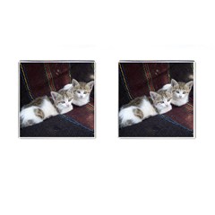 Kitty Twins Cufflinks (square) by trendistuff