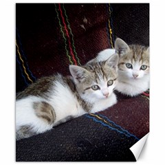 Kitty Twins Canvas 8  X 10  by trendistuff