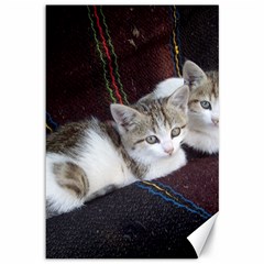 Kitty Twins Canvas 12  X 18   by trendistuff