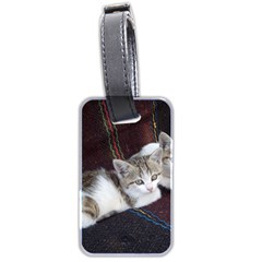 Kitty Twins Luggage Tags (two Sides) by trendistuff