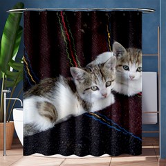 Kitty Twins Shower Curtain 60  X 72  (medium) 