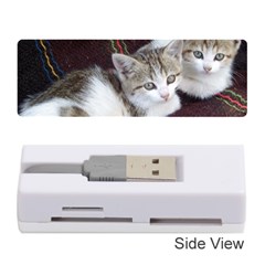 Kitty Twins Memory Card Reader (stick) 