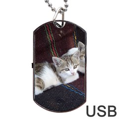 Kitty Twins Dog Tag Usb Flash (one Side)