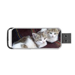 Kitty Twins Portable Usb Flash (one Side)