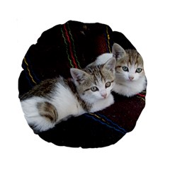 Kitty Twins Standard 15  Premium Round Cushions by trendistuff