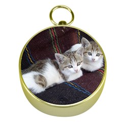 Kitty Twins Gold Compasses