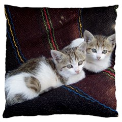 Kitty Twins Standard Flano Cushion Cases (two Sides)  by trendistuff