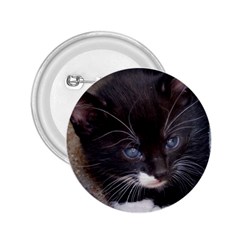 Kitty In A Corner 2 25  Buttons by trendistuff