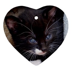 Kitty In A Corner Ornament (heart)  by trendistuff