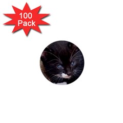 Kitty In A Corner 1  Mini Buttons (100 Pack)  by trendistuff