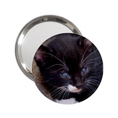 Kitty In A Corner 2 25  Handbag Mirrors by trendistuff