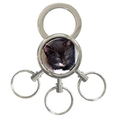 Kitty In A Corner 3-ring Key Chains by trendistuff