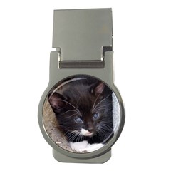 Kitty In A Corner Money Clips (round)  by trendistuff