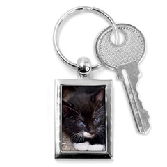 Kitty In A Corner Key Chains (rectangle)  by trendistuff