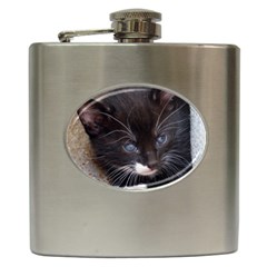 Kitty In A Corner Hip Flask (6 Oz) by trendistuff