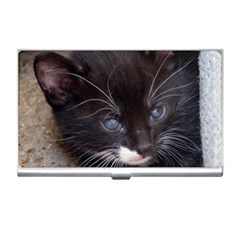 Kitty In A Corner Business Card Holders by trendistuff