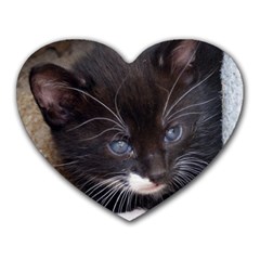 Kitty In A Corner Heart Mousepads by trendistuff