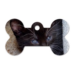 Kitty In A Corner Dog Tag Bone (two Sides) by trendistuff